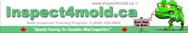 Mold Mould Training Certificate